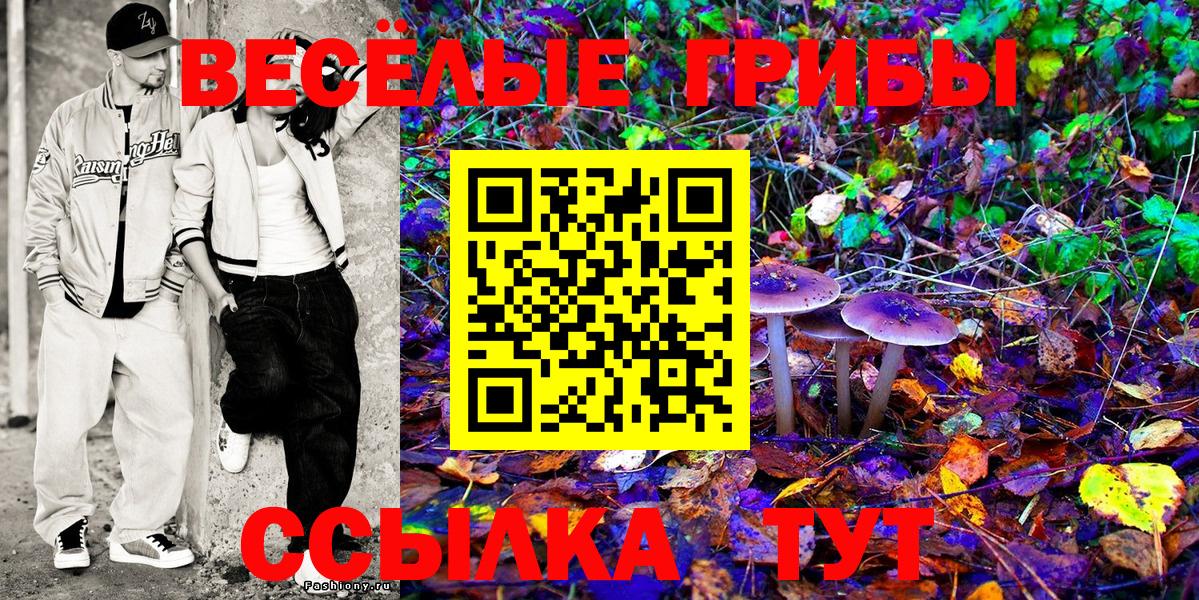 Галлюциногенные грибы Psilocybine cubensis Биробиджан