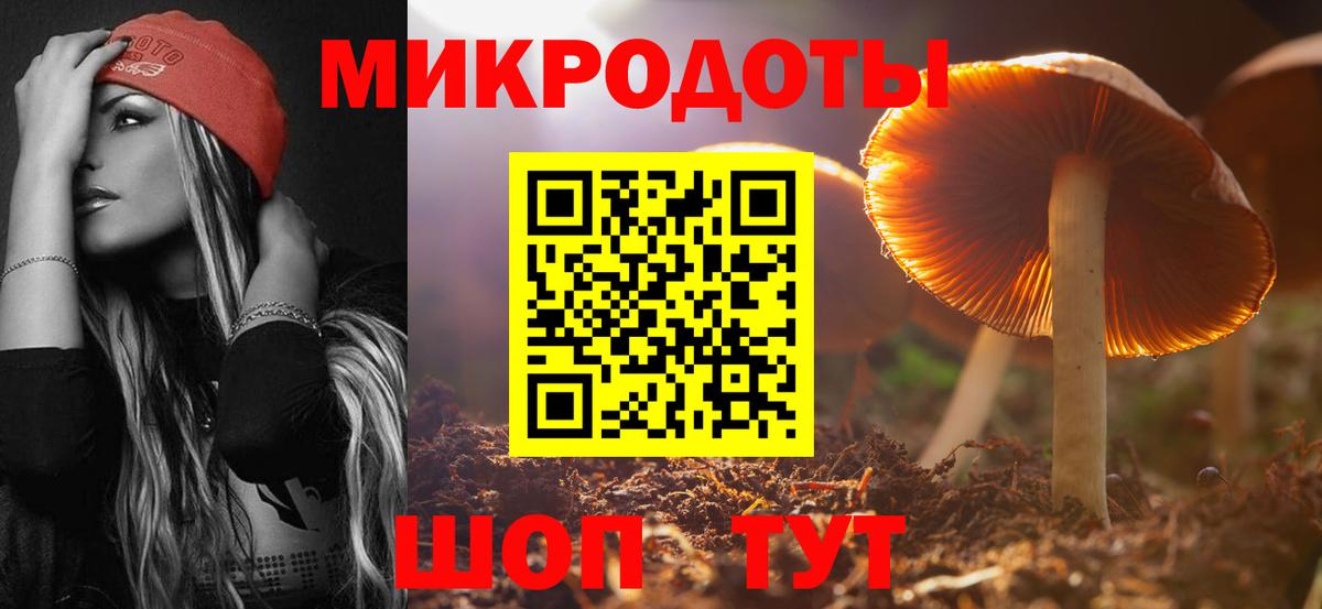 Галлюциногенные грибы Cubensis  Вход с VPN  Биробиджан  Галлюциногенные грибы Cubensis 